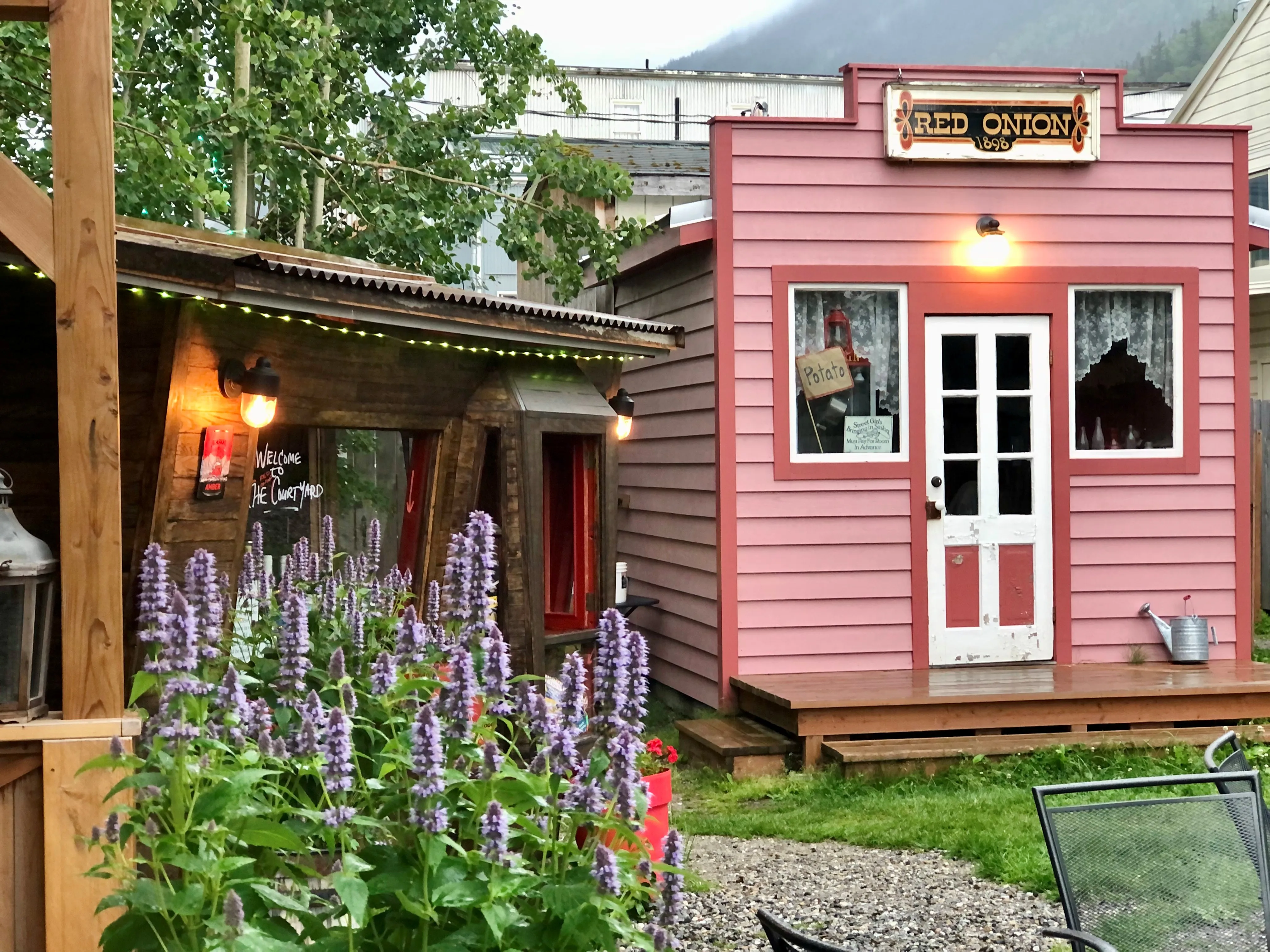 Flowers in the Red Onion courtyard